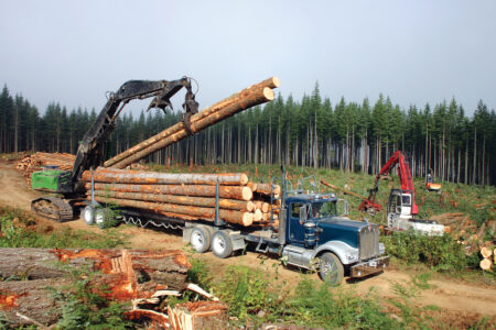 How to Sell Timber From Your Land Image